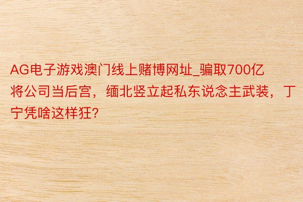 AG电子游戏澳门线上赌博网址_骗取700亿将公司当后宫，缅北竖立起私东说念主武装，丁宁凭啥这样狂？