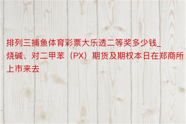 排列三捕鱼体育彩票大乐透二等奖多少钱_烧碱、对二甲苯（PX）期货及期权本日在郑商所上市来去
