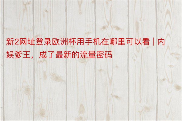 新2网址登录欧洲杯用手机在哪里可以看 | 内娱爹王，成了最新的流量密码